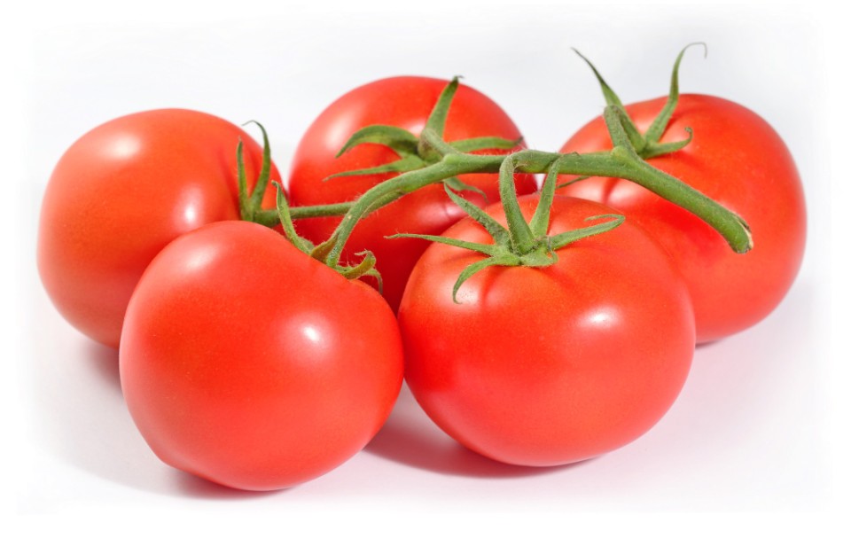 Totato Market Rates Today in Uttar Pradesh and Maharashtra